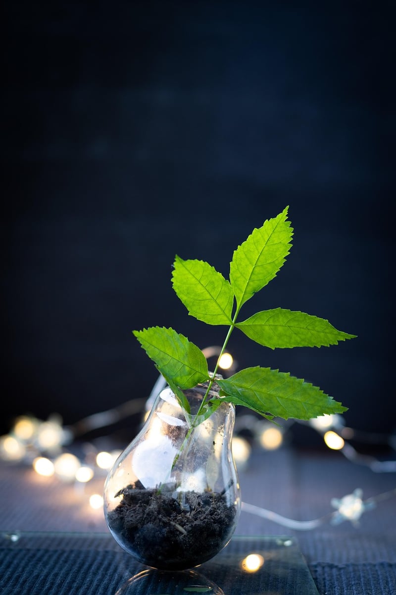 Upcycled Art Projects